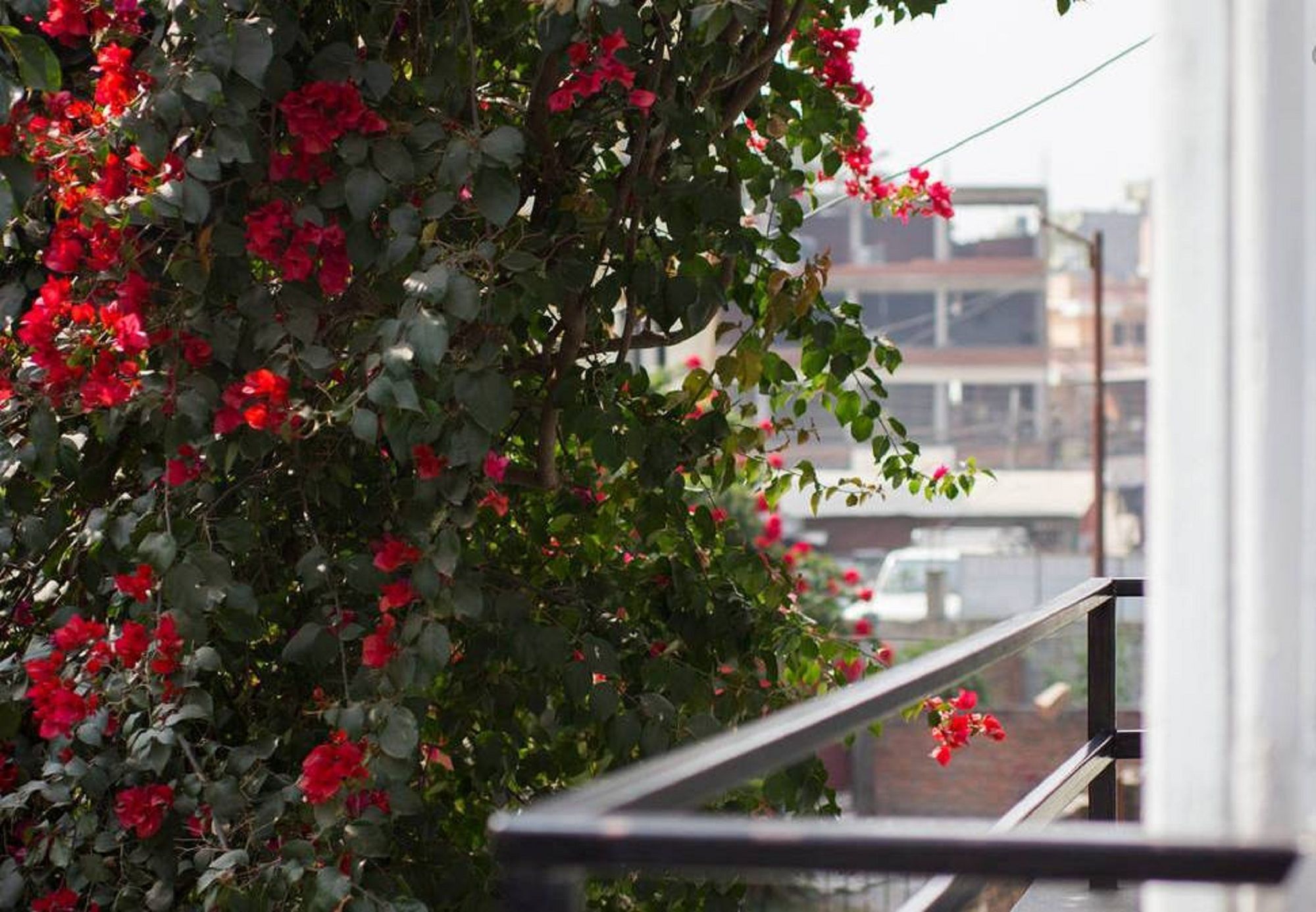 Le Rhododendron Chambres D'Hotes Kathmandu Ngoại thất bức ảnh